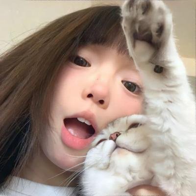 第八夫人